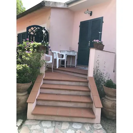 Il Pino * Procchio (Isola d'Elba)