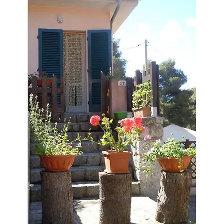 Vila Il Pino