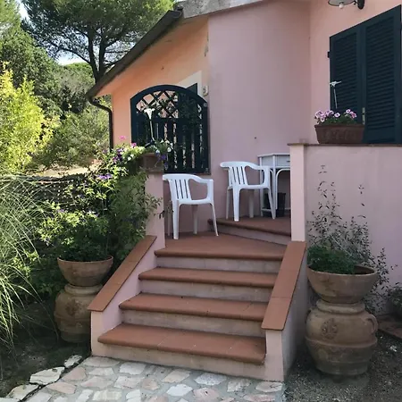 Il Pino Procchio (Isola d'Elba)